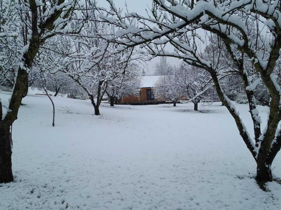 Sremska Kamenica Nica Woodヴィラ エクステリア 写真
