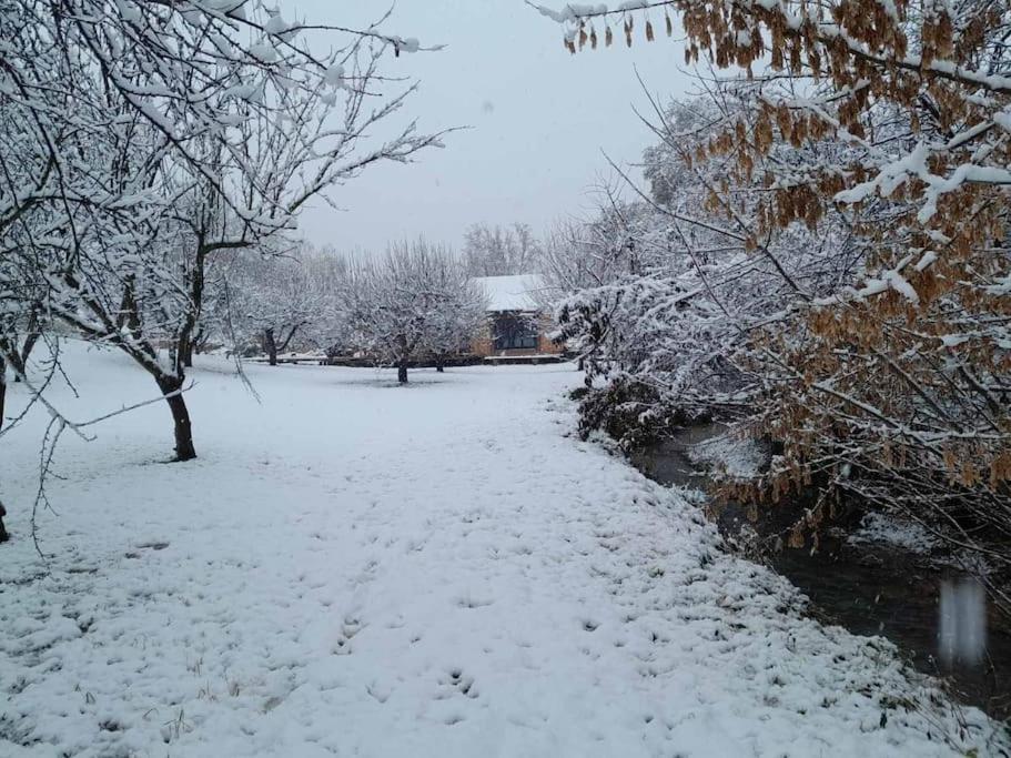 Sremska Kamenica Nica Woodヴィラ エクステリア 写真